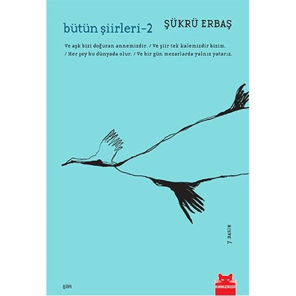 Bütün Şiirleri 2 | Kırmızı Kedi