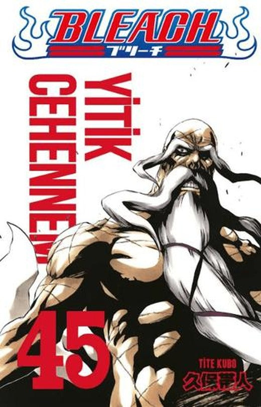 Bleach 45. Cilt
