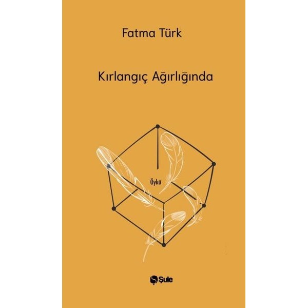 Kırlangıç Ağırlığında | Şule Yayınları (İnce Kapak)