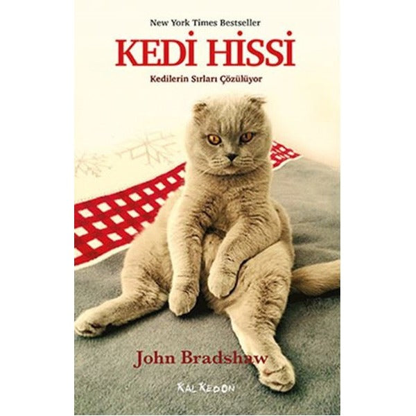 Kedi Hissi | Kalkedon