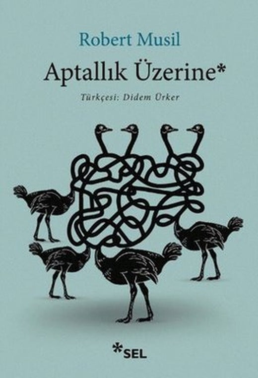 Aptallık Üzerine | Sel Yayıncılık (İnce Kapak)