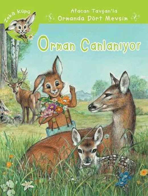 Orman Canlanıyor | Kaknüs Yayınları (Ciltsiz)