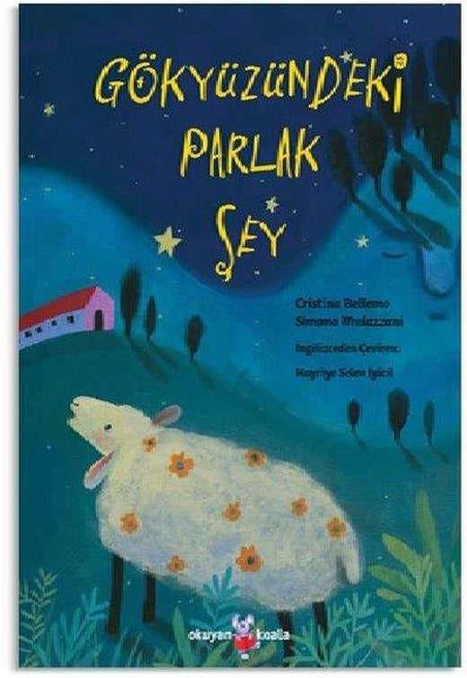 Gökyüzündeki  Parlak Şey | Okuyan Koala (İnce Kapak)