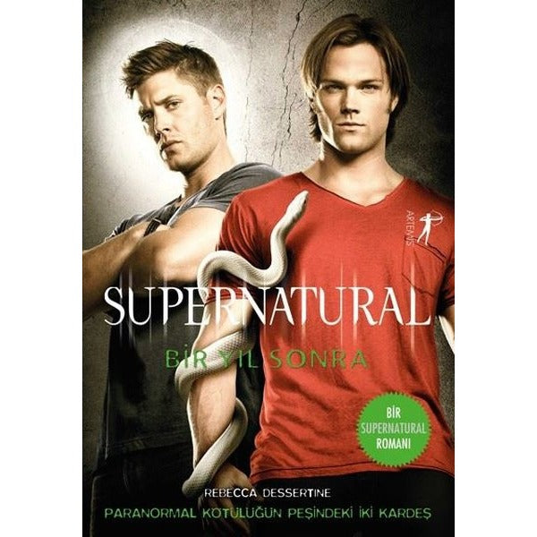 Supernatural-Bir Yıl Sonra | Artemis Yayınları
