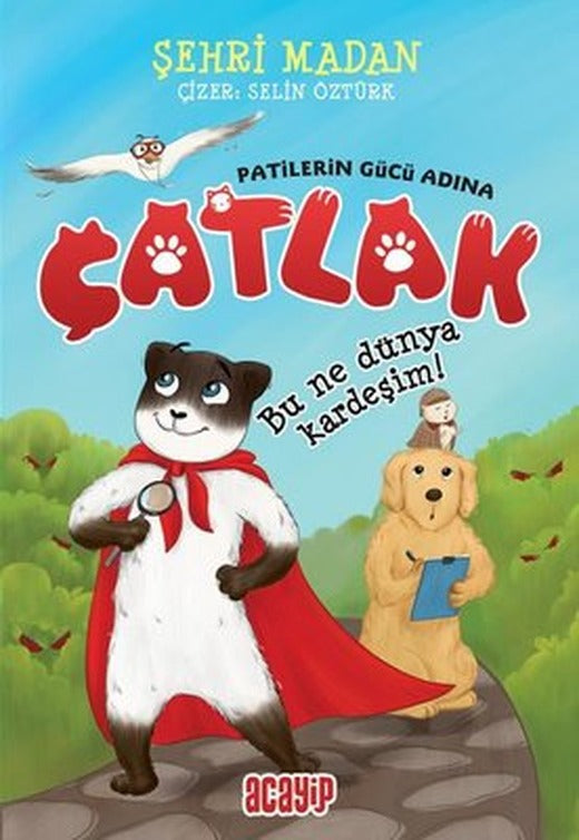 Çatlak! Patilerin Gücü Adına - Bu Ne Dünya Kardeşim | Acayip