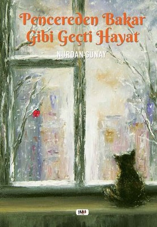 Pencereden Bakar Gibi Geçti Hayat | Tilki Yayınları
