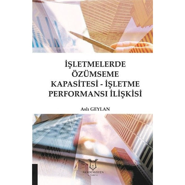 İşletmelerde Özümseme Kapasitesi - İşletme Performansı İlişkisi | Akademisyen Kitabevi (Ciltsiz)