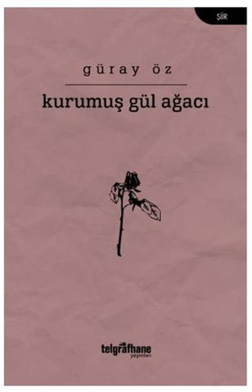 Kurumuş Gül Ağacı