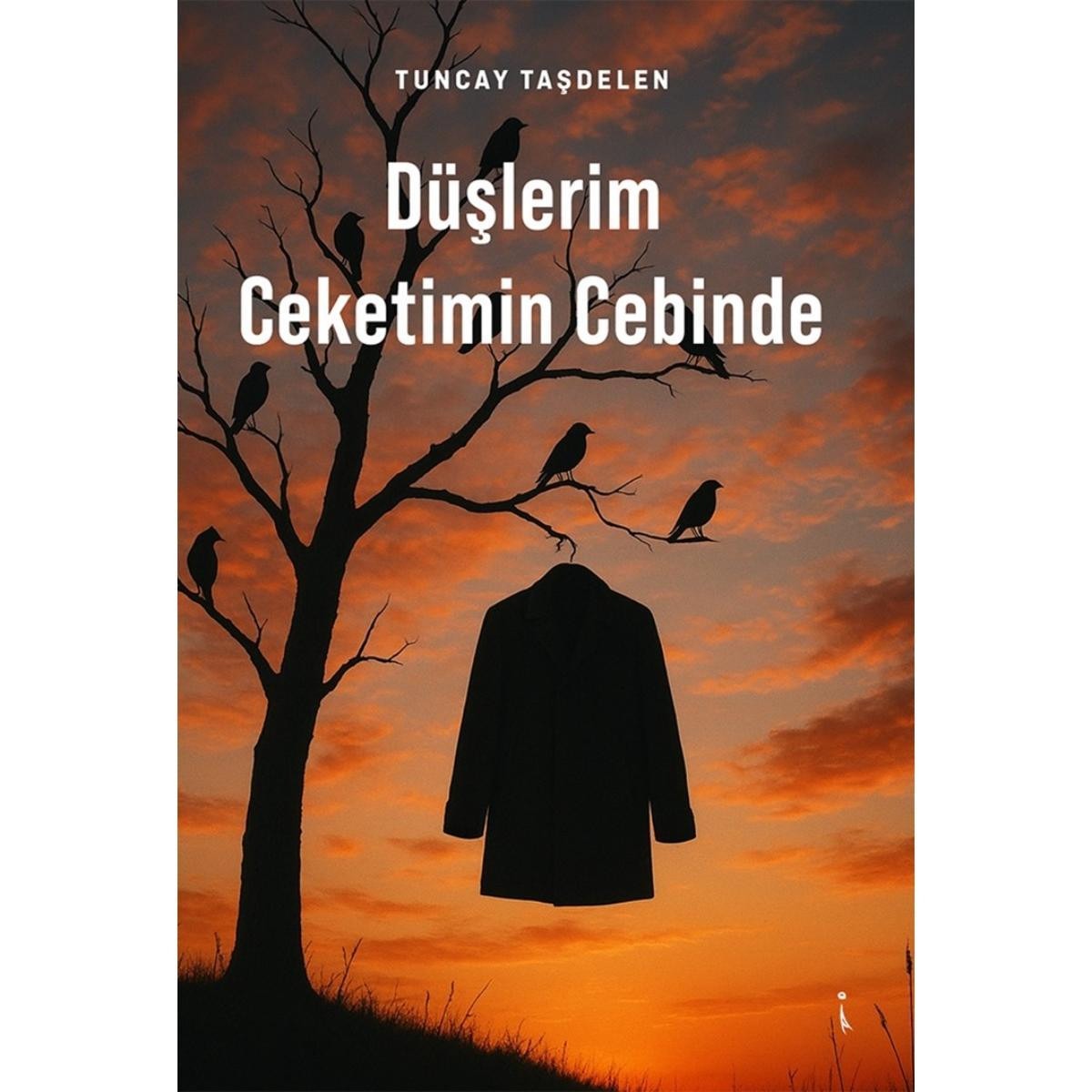 Düşlerim Ceketimin Cebinde | İkinci Adam Yayınları (İnce Kapak)