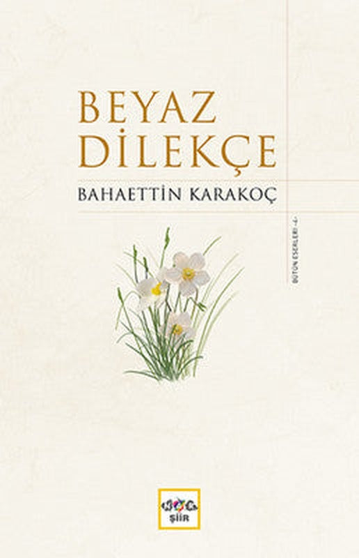 Beyaz Dilekçe | Nar Yayınları