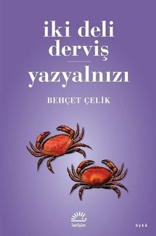 İki Deli Derviş - Yazyalnızı | İletişim Yayınları