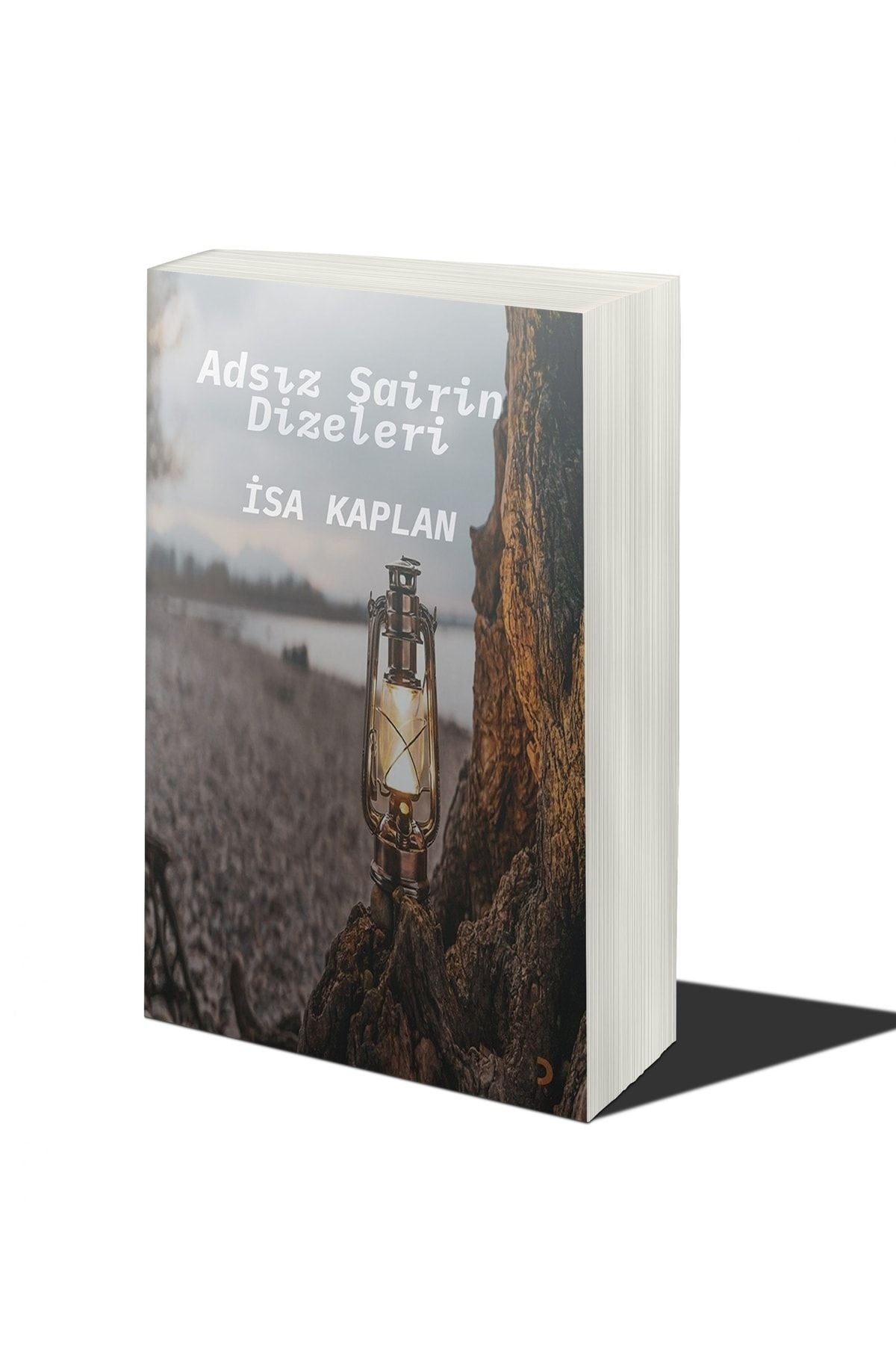 Adsız Şairin Dizeleri