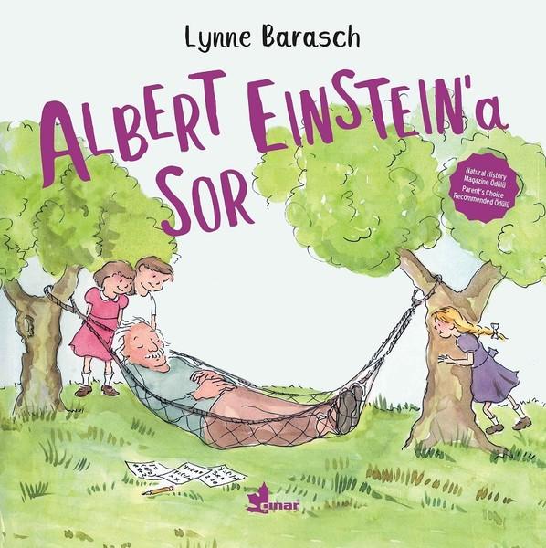 Albert Einsteina Sor | Çınar Yayınları (İnce Kapak)  - Resim 1