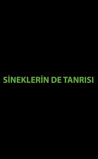 Sineklerin de Tanrısı