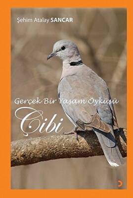 Gerçek Bir Yaşam Öyküsü Çibi - Şehim Atalay Sancar kitap kapağı
