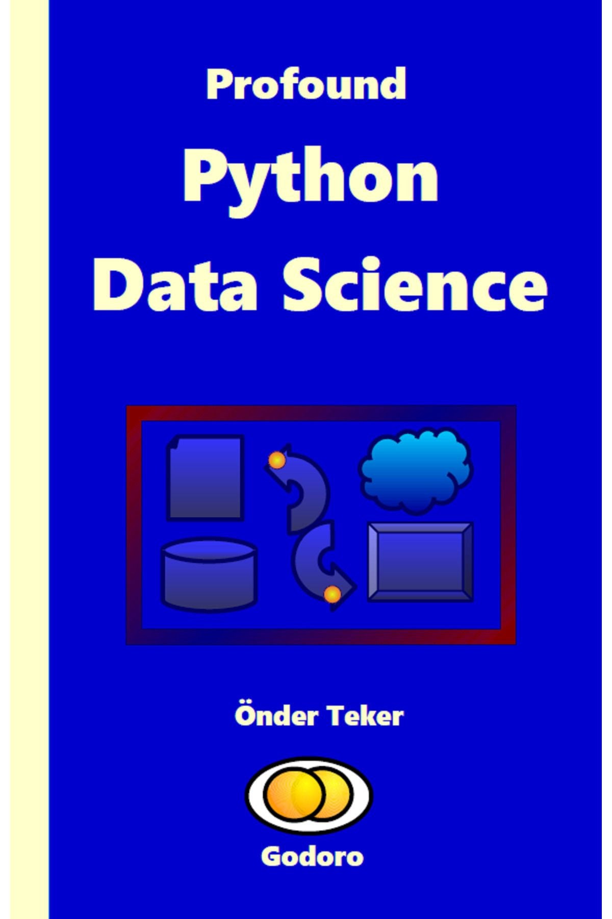 Godoro Yayıncılık Profound Python Data Science kitap kapağı