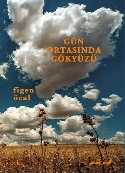Gün Ortasında Gökyüzü - Figen Öcal kitap kapağı