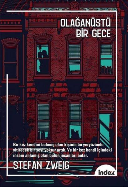 Olağanüstü Bir Gece | İndex Yayınları (İnce Kapak)  - Resim 1