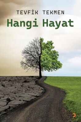 Hangi Hayat - Tevfik Tekmen kitap kapağı