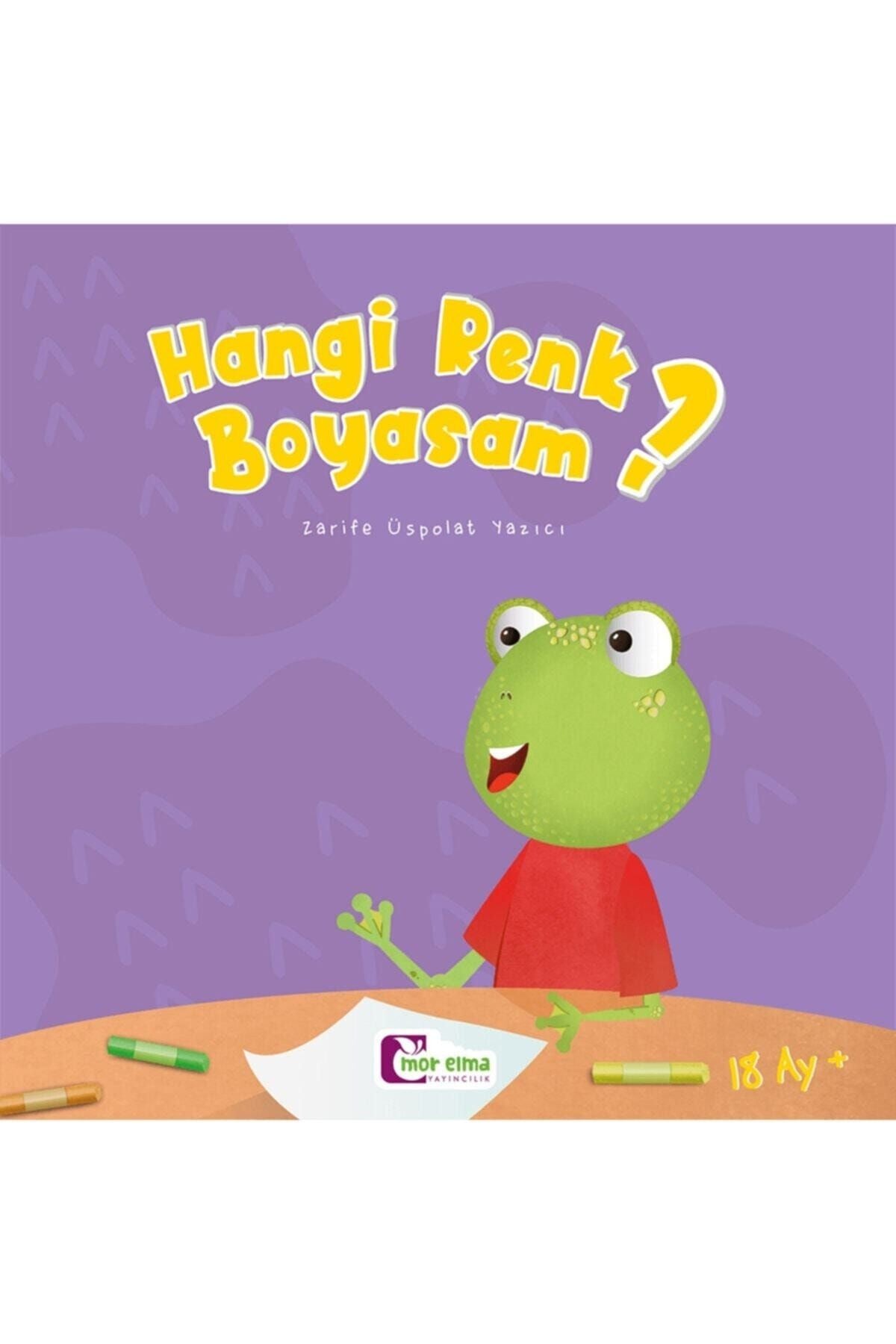 Hangi Renk Boyasam - Acaba Masal Serisi - Kalın Kitap kitap kapağı