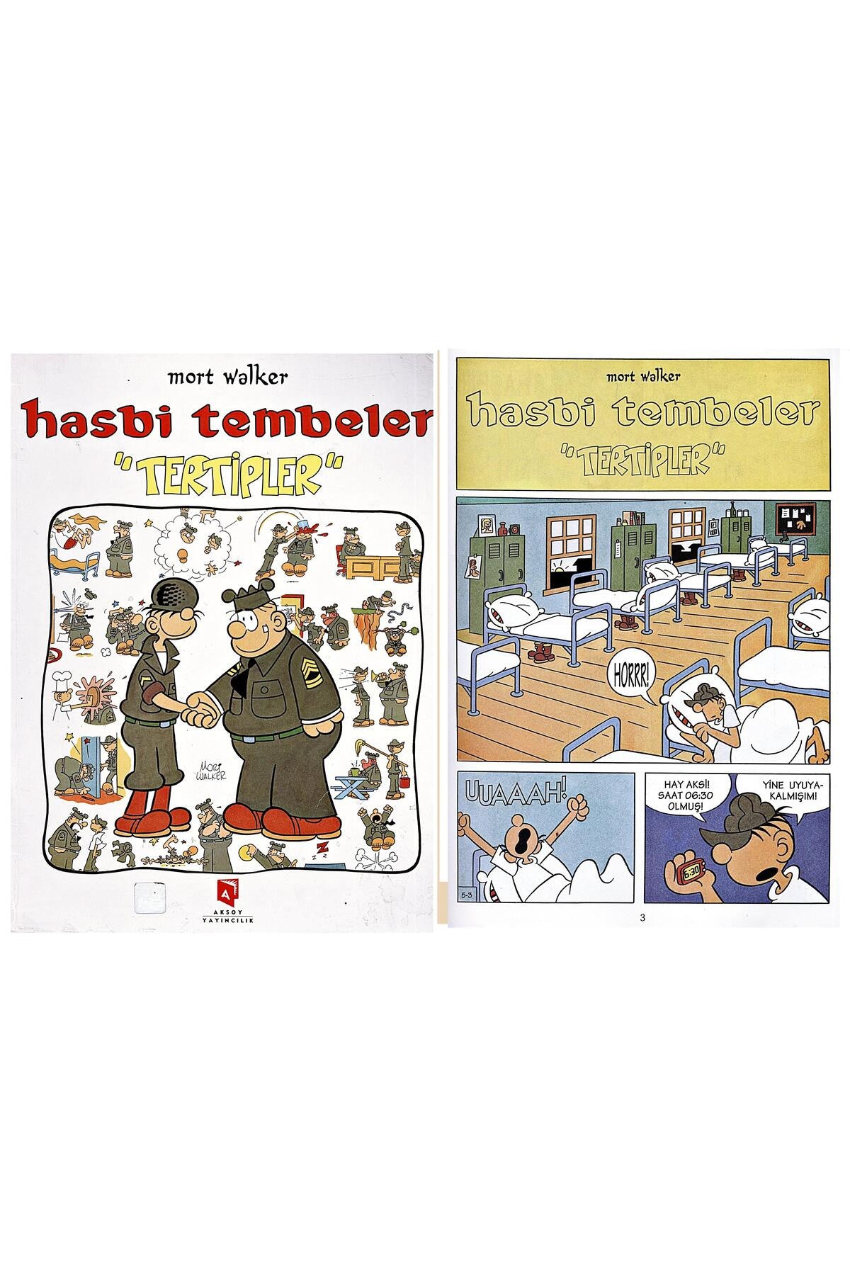 Hasbi Tembeler Tertipler kitap kapağı