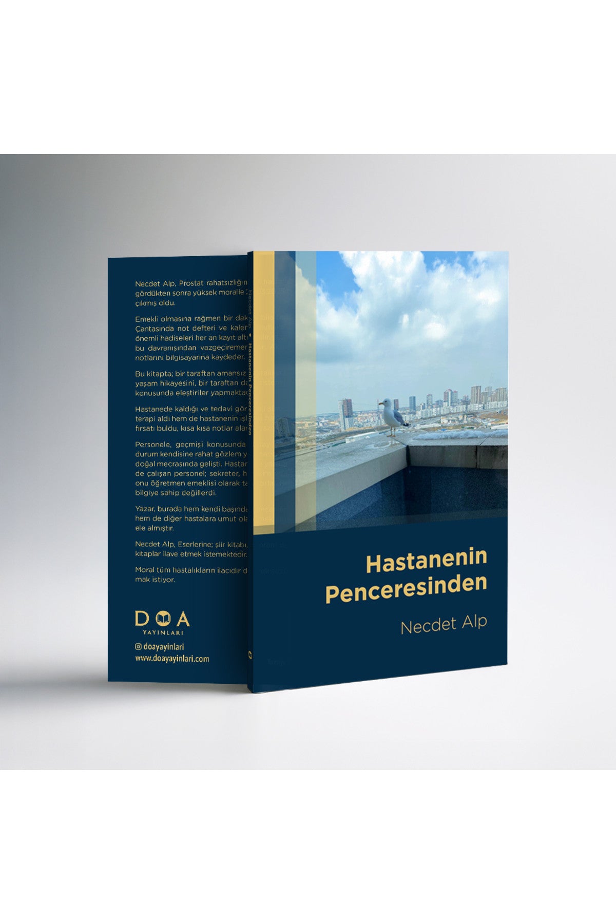 Hastanenin Penceresinden - Necdet Alp kitap kapağı