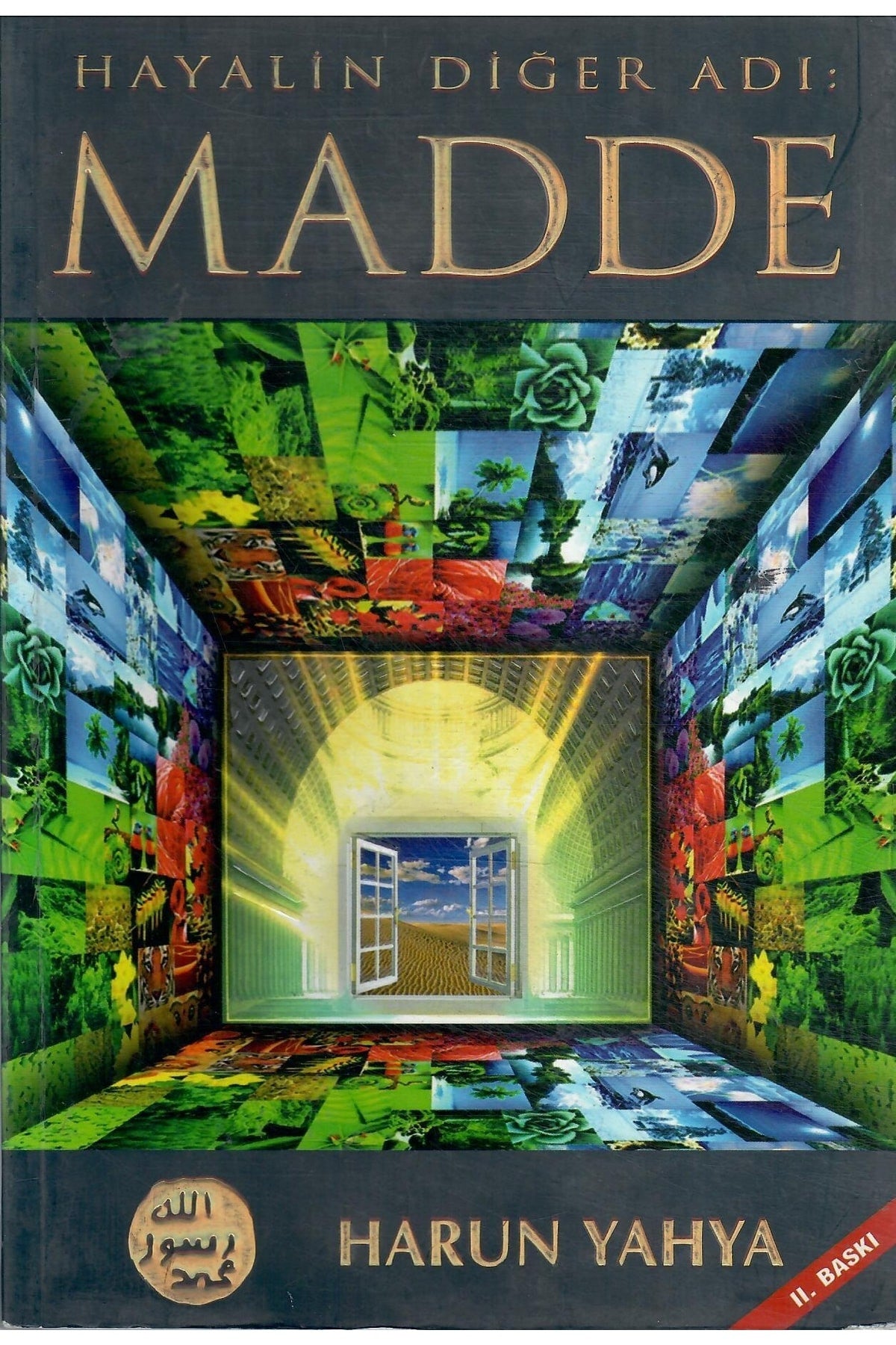 Hayalin Diğer Adı Madde - Görüntü Nasıl Madde Zannedilir? kitap kapağı