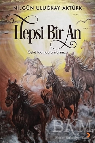 Hepsi Bir An - Nilgün Uluğkay Aktürk kitap kapağı