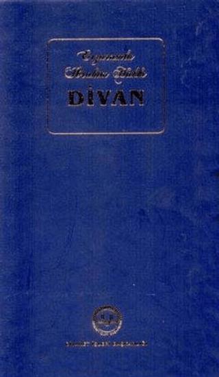 Erzurumlu İbrahim Hakkı Divan