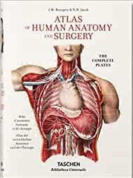 Bourgery. Atlas of Human Anatomy and Surgery | Taschen GmbH (Ciltli)  - Resim 1