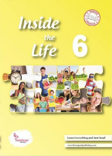 Inside The Life 6 - Kolektif - Flamingo Publishing kitap kapağı