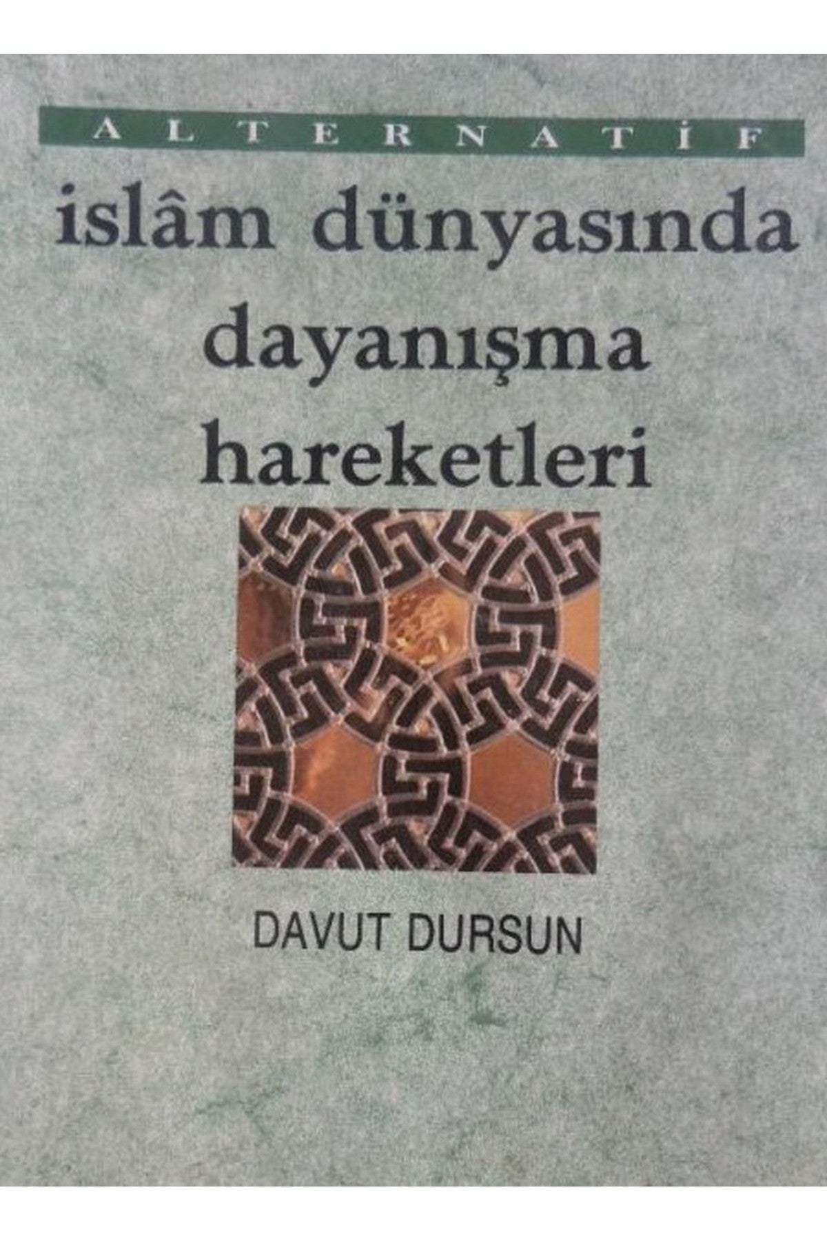 İslâm Dünyasında Dayanışma Hareketleri / Davut Dursun (1992 Basım) kitap kapağı