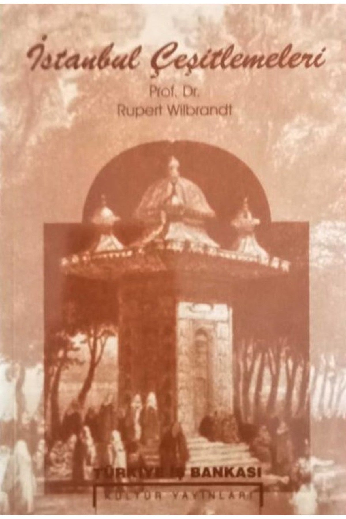 İstanbul Çeşitlemeleri - Prof. Dr. Rupert Wilbrandt kitap kapağı