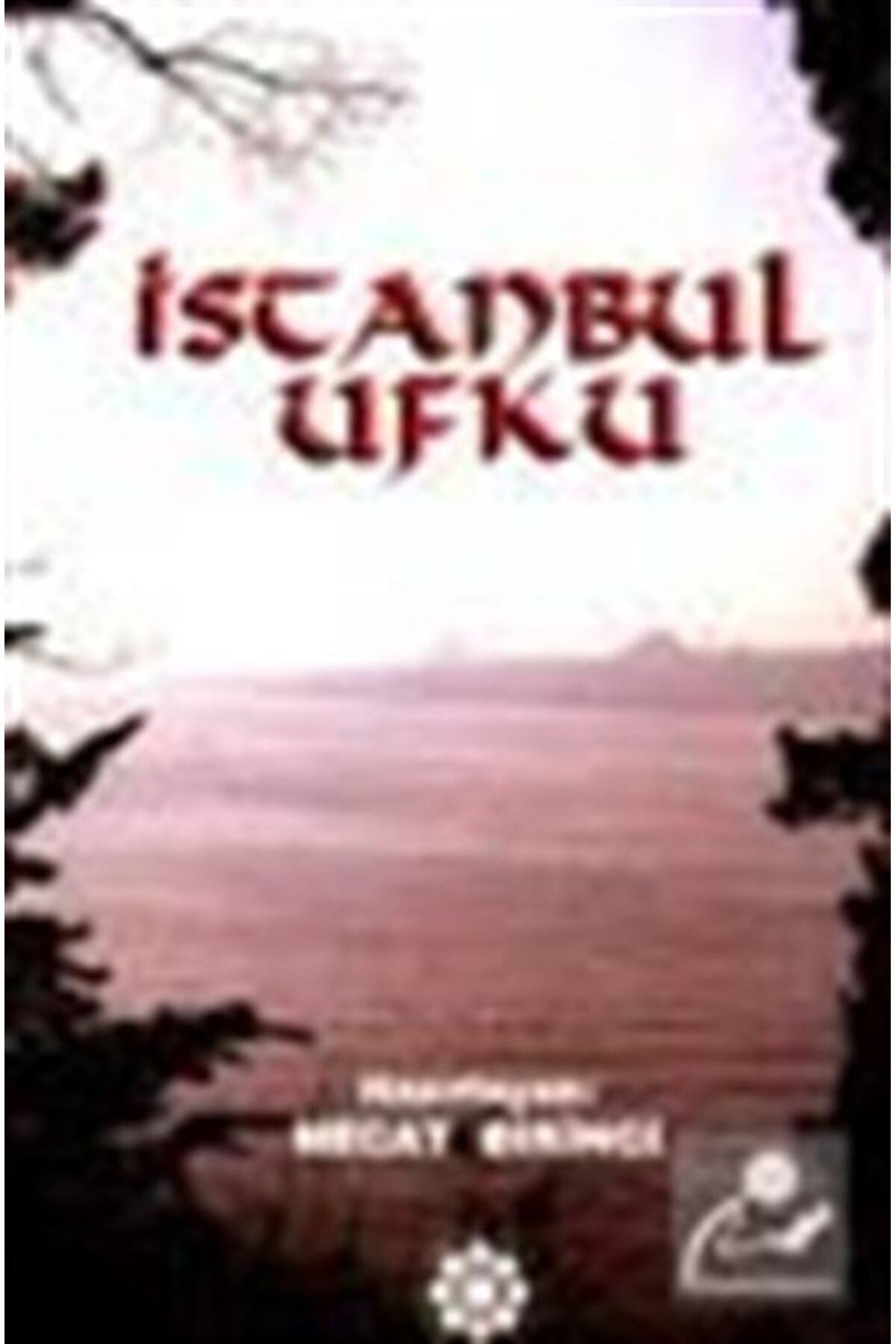 İstanbul Ufku - Prof. Dr. Necat Birinci kitap kapağı