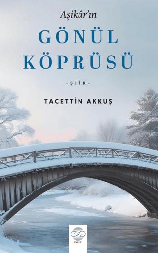 Aşikar'ın Gönül Köprüsü | Post Yayınevi (Ciltsiz)  - Resim 1