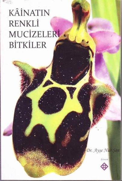 Kainatın Renkli Mucizeleri Bitkiler - Ayşe Nur Şen kitap kapağı