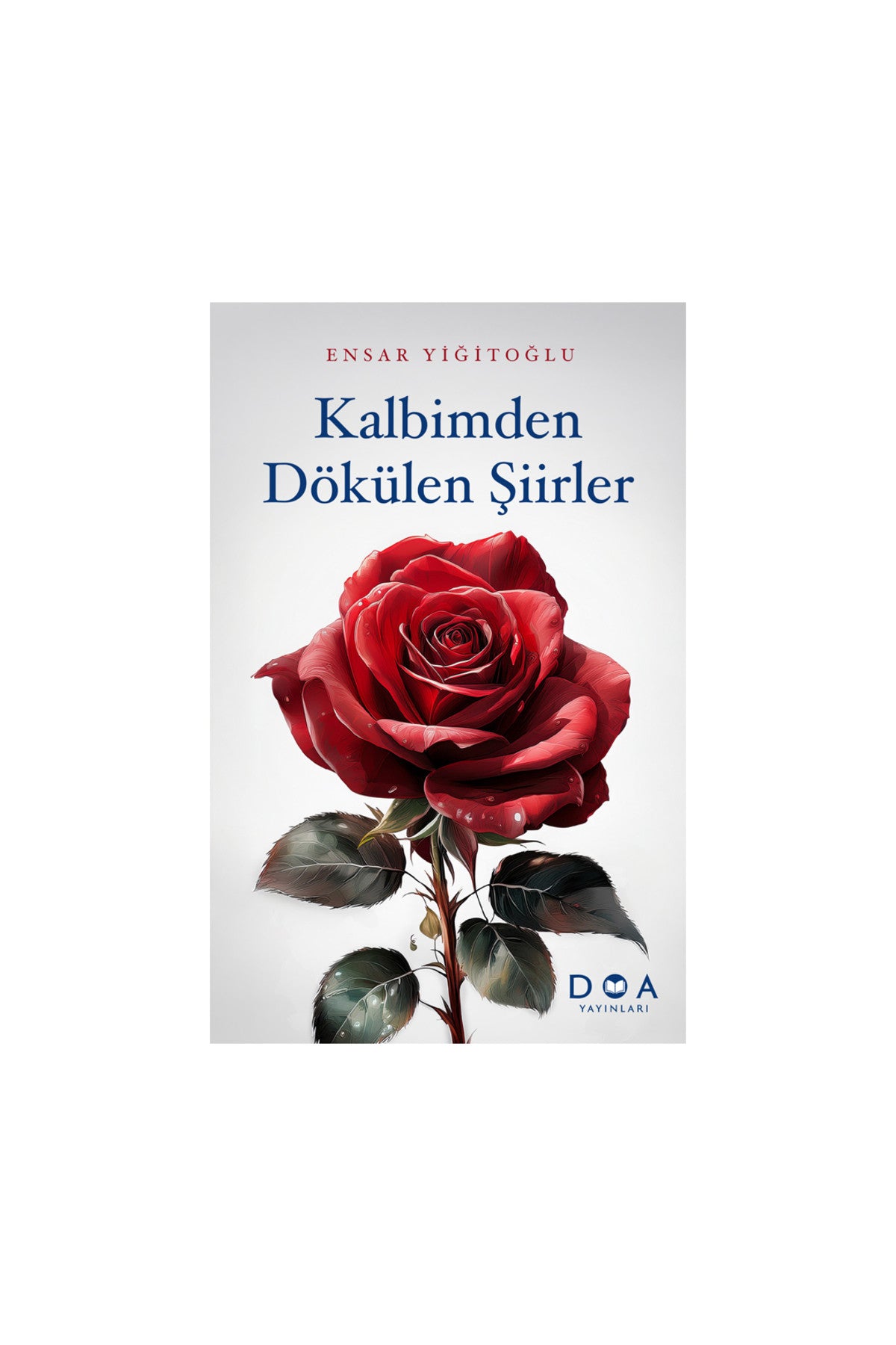 Kalbimden Dökülen Şiirler - Ensar Yiğitoğlu kitap kapağı