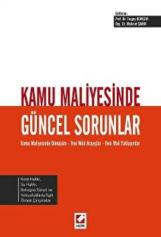 Kamu Maliyesinde Güncel Sorunlar - Turgay Berksoy kitap kapağı