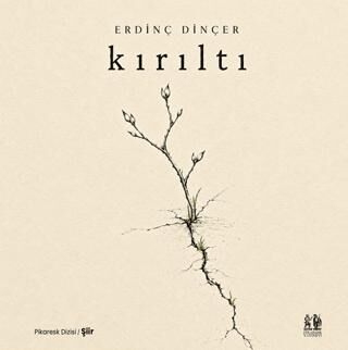 Kırıltı - Erdinç Dinçer kitap kapağı