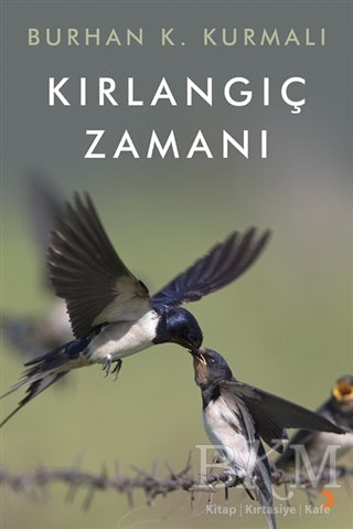 Kırlangıç Zamanı - Burhan K. Kurmalı kitap kapağı
