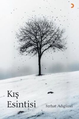 Kış Esintisi - Ferhat Adıgüzel kitap kapağı
