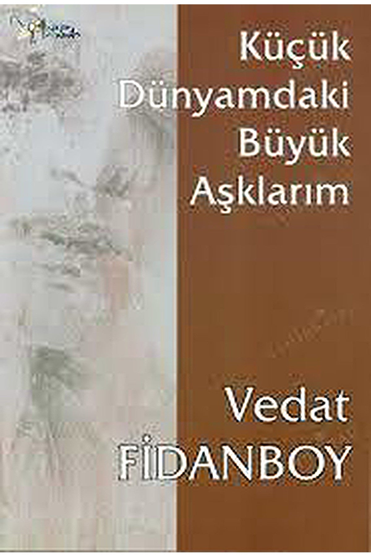 Küçük Dünyamdaki Büyük Aşklarım - Vedat Fidanboy - RIFAT KAYA kitap kapağı
