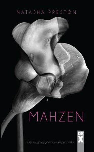 Mahzen - Natasha Preston kitap kapağı