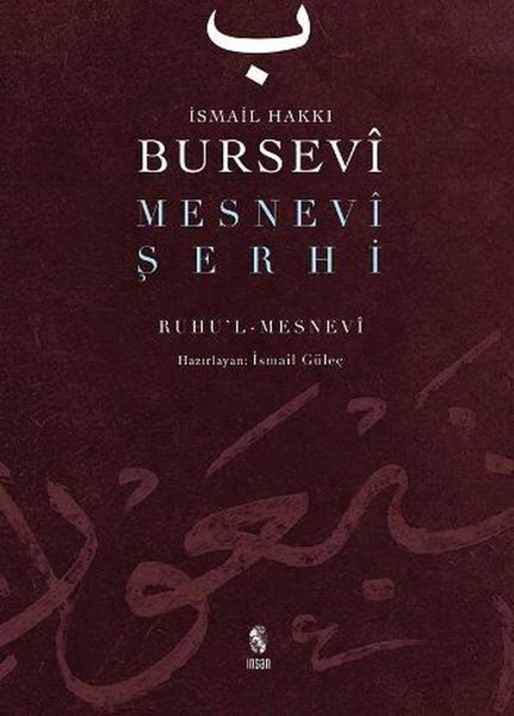 Mesnevi Şerhi | İnsan Yayınları