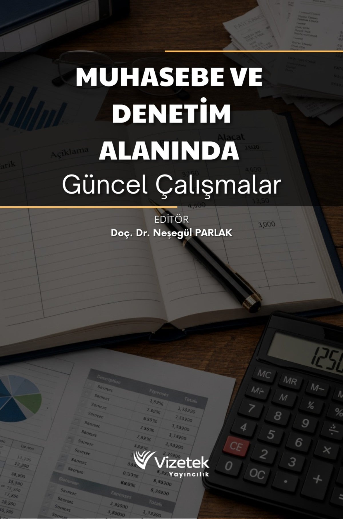 Muhasebe ve Denetim Alanında Güncel Çalışmalar kitap kapağı