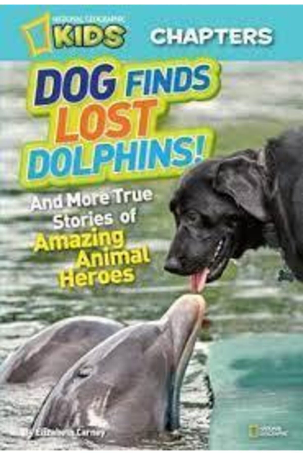 National Geographic Kids Dog Finds Lost Dolphins! : And More True Stories Of Amazing Animal Heroes kitap kapağı