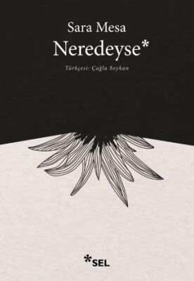 Neredeyse - Sara Mesa kitap kapağı