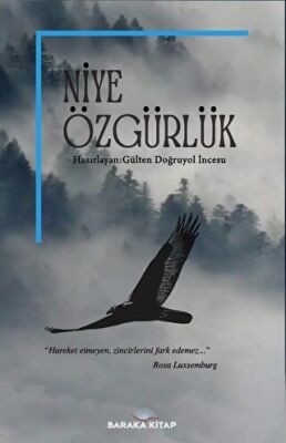 Niye Özgürlük - Gülten Doğruyol İncesu kitap kapağı