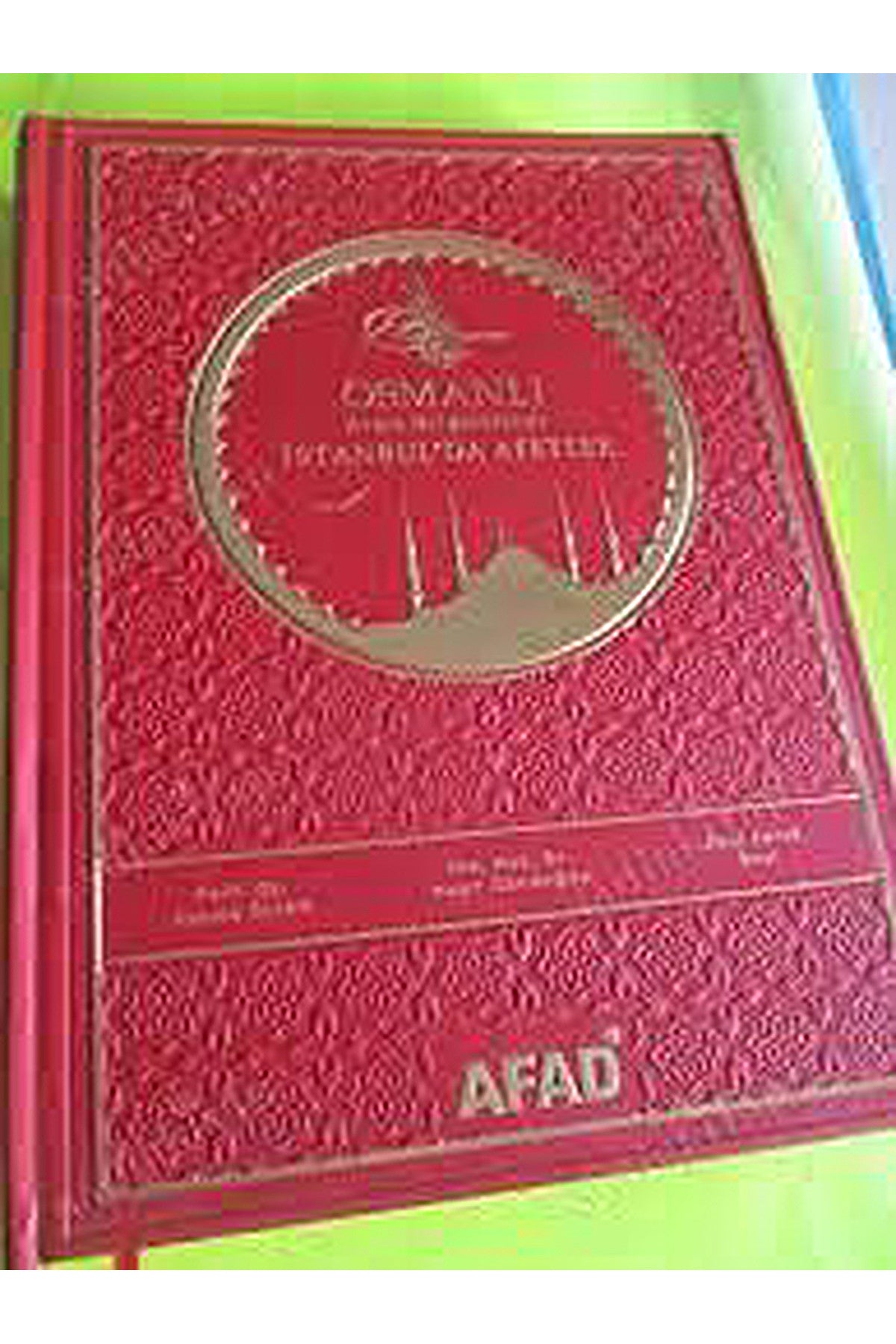 Osmanlıda Arşiv Belgelerinde İstanbul'Da Afetler-Fatma Ürekli kitap kapağı