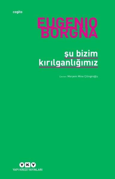 Şu Bizim Kırılganlığımız | Yapı Kredi Yayınları (İnce Kapak)  - Resim 1